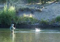 Argentina fishing